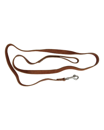 "As Good as It Gets" Verdell's (Jill the Dog) Dog Leash